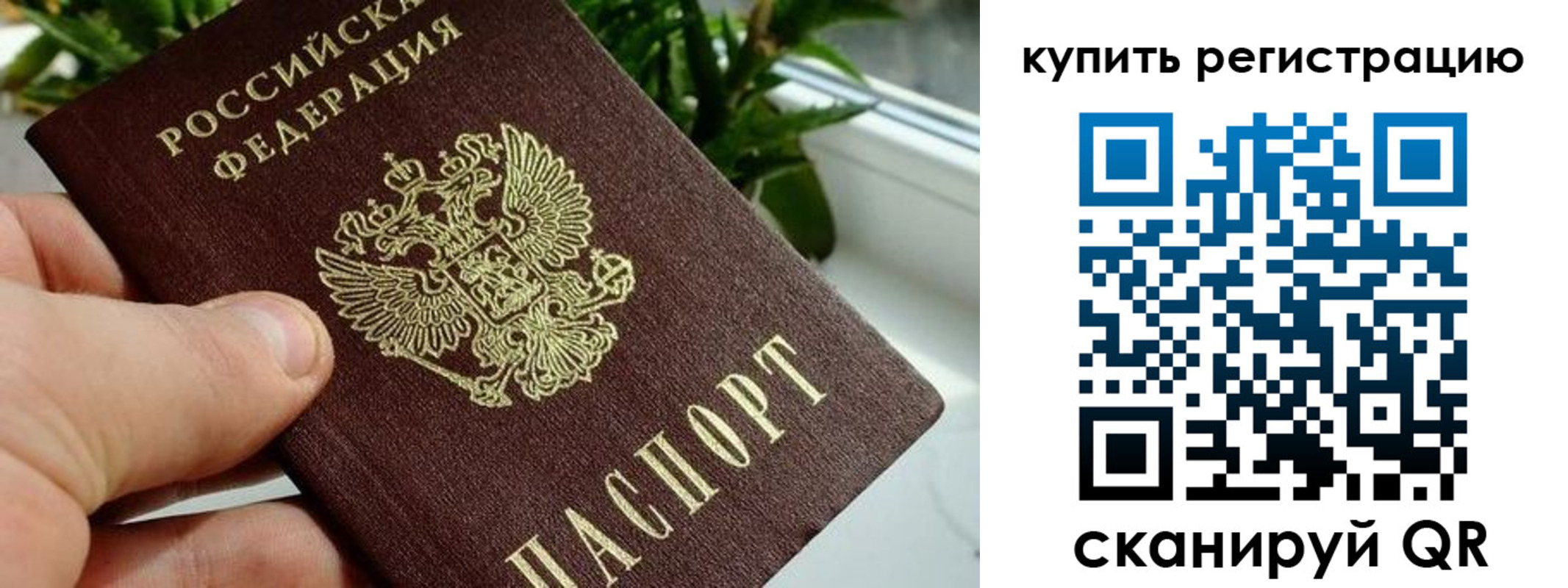 прописка гарантия в Оленегорске